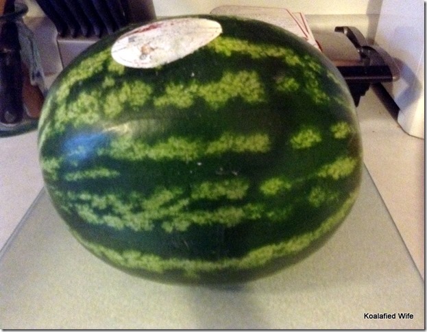 Watermelon 1